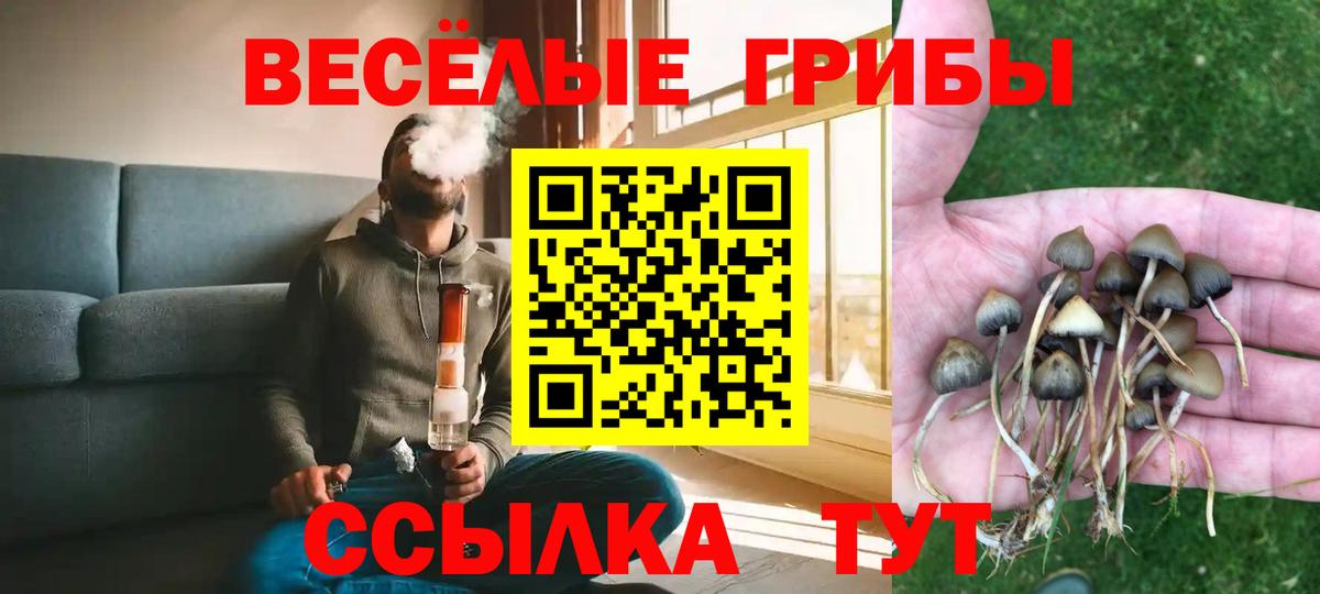 Вышний Волочёк  Псилоцибиновые грибы прущие грибы  Псилоцибиновые грибы мухоморы  Вход с VPN 
